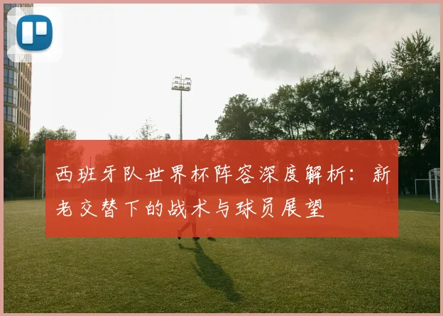西班牙队世界杯阵容深度解析:新老交替下的战术与球员展望