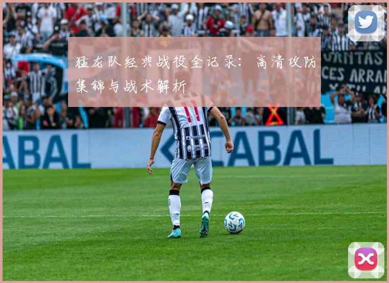 猛龙队经典战役全记录：高清攻防集锦与战术解析